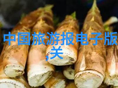 徒步旅行指南规划一场完美的远足之旅