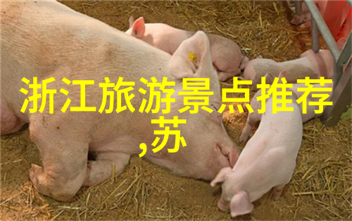 北京十大必吃小吃我来告诉你那些超级美味的街头小食
