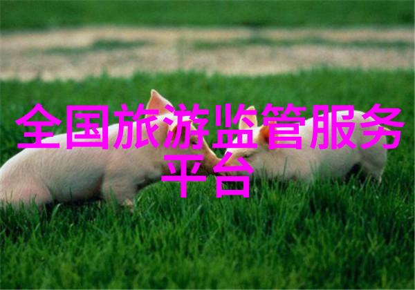 登山之旅揭秘泰山的美丽与神秘