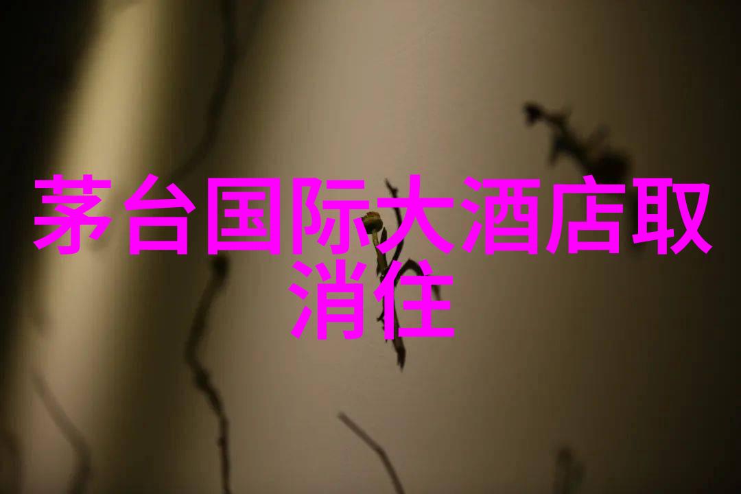 探索奇迹我的游xx作文之旅