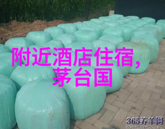 夏日乐趣七月最佳带孩子旅行城市推荐