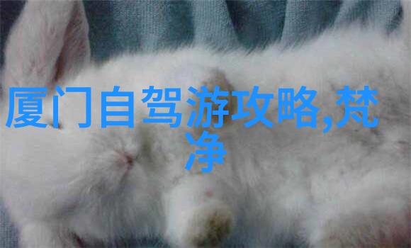 潮州美食探索-潮州本地人心头好品味传统的餐馆佳肴