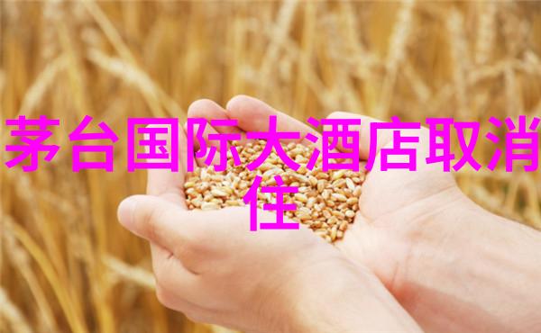 新型年轻人娱乐项目上海滑雪热潮探秘最酷的滑雪圣地