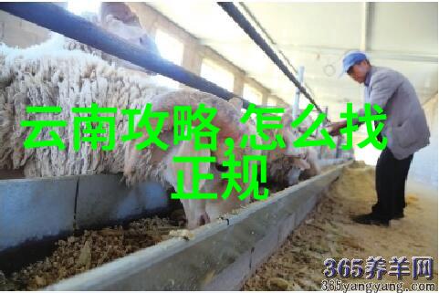 广东美景盛宴揭秘珠江之水畔的10大绝景