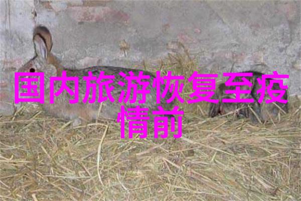 新田玉峰寺