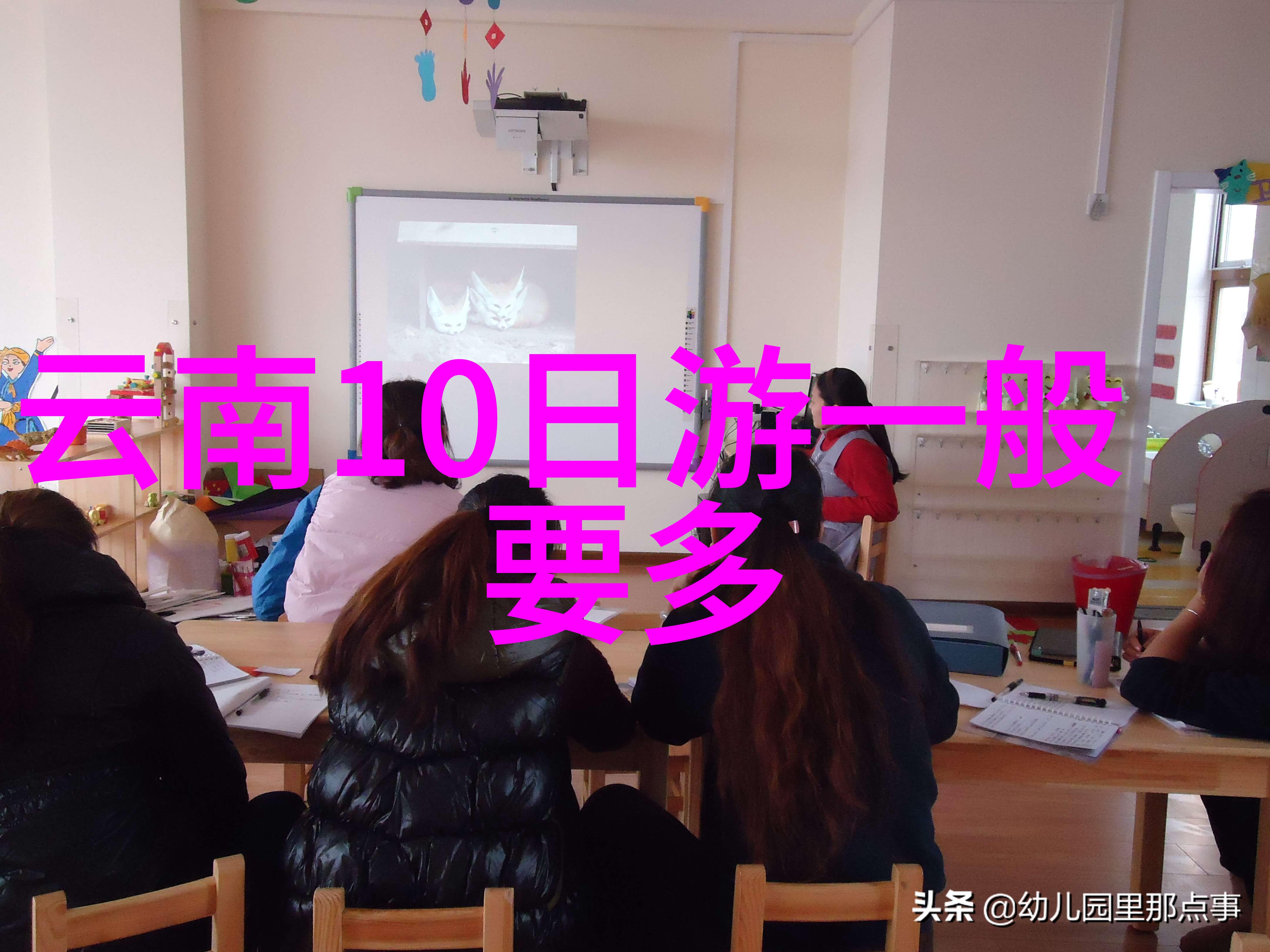 洞悉自然之美安吉的森林公园探秘