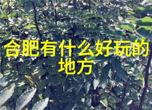 北京牛街美食盛宴揭秘十大吃货胜地