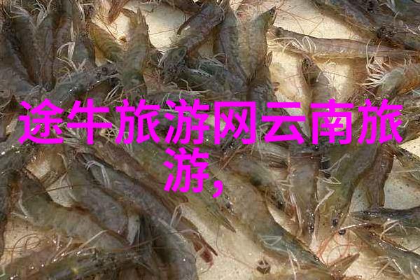 青岛三日游攻略海岸线漫步与山城探秘