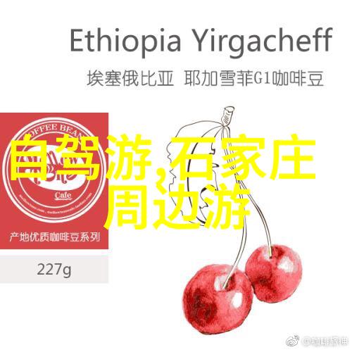 西安美食风云揭秘那些米其林街头不可错过的佳肴
