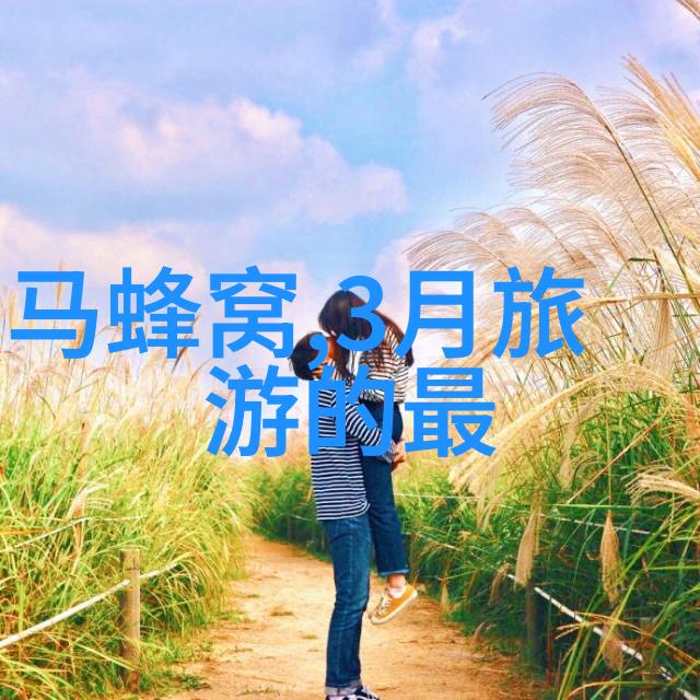 南京自驾游 - 紫金山上的时光探索历史与现代的交汇点