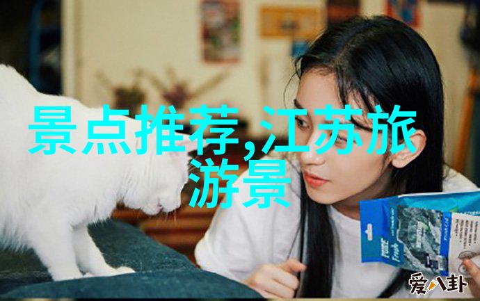 北京同仁医院附近住宿攻略找寻舒适的医疗之旅伴侣