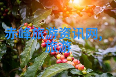 乡村旅游类论文的魅力探索乡村旅游研究旅行文档撰写