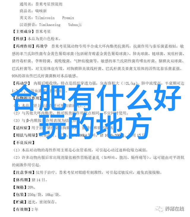 广州周边自驾游探索珠江之滨的秘密篇章
