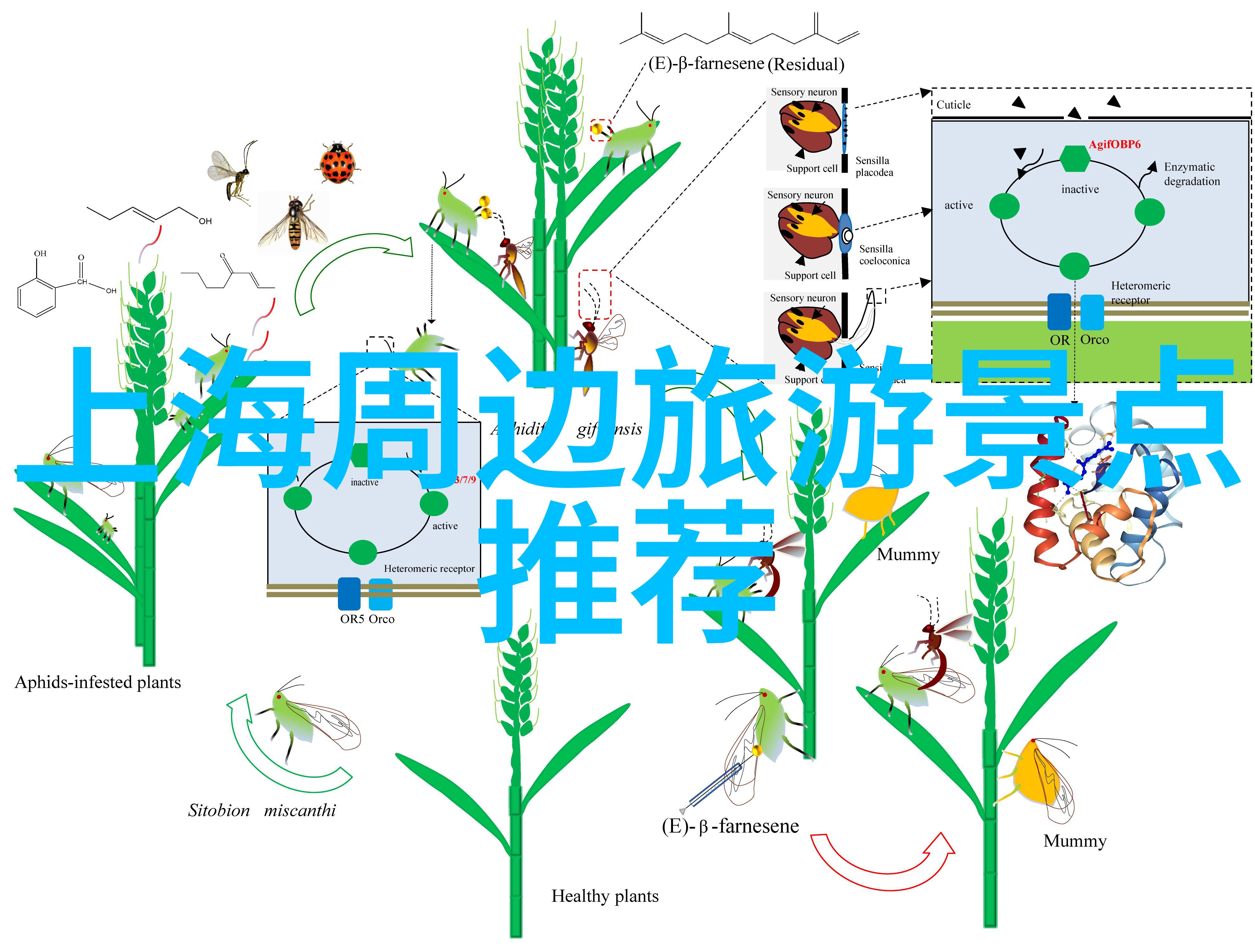 文化探索不只是景点跳票深度阅读ChinaTravelOnline博客文章