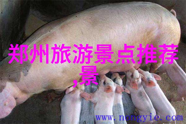 上海美食探秘我来告诉你上海那些超级美味的街头小吃