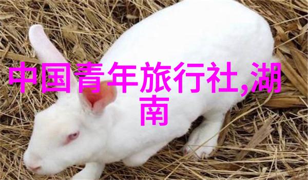 骑行必备装备安全与舒适的双重保障