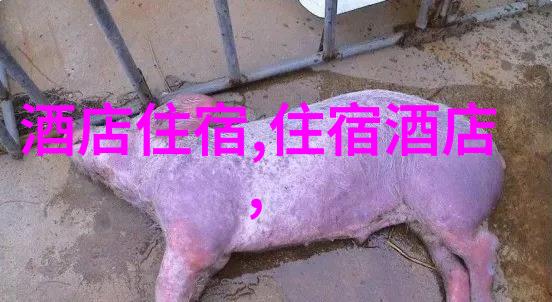 西安美食宝地揭秘吃货必去的餐饮天堂