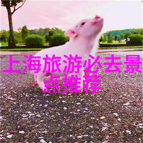 未解之谜揭秘幼儿园那些神秘的户外小游戏