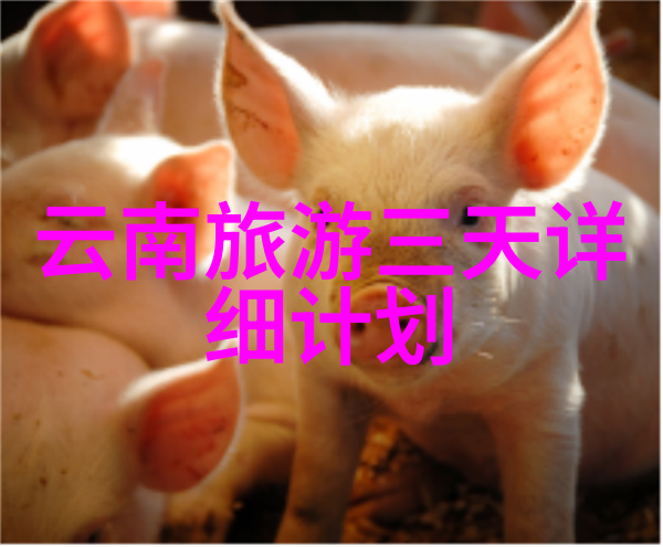 炮灰过分可爱穿书-无敌小炮灰我只是个穿越者