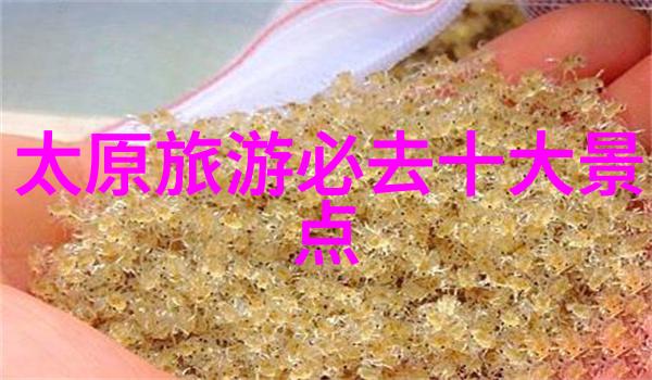 重返时光我的游记考满分之旅