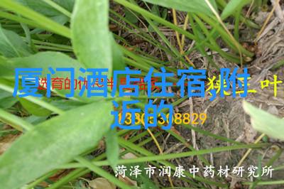 云南美景一览云南旅游地图揭秘