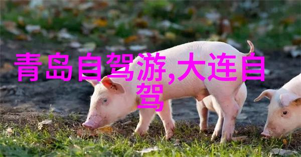 甜制甜糖果世界的美妙探索