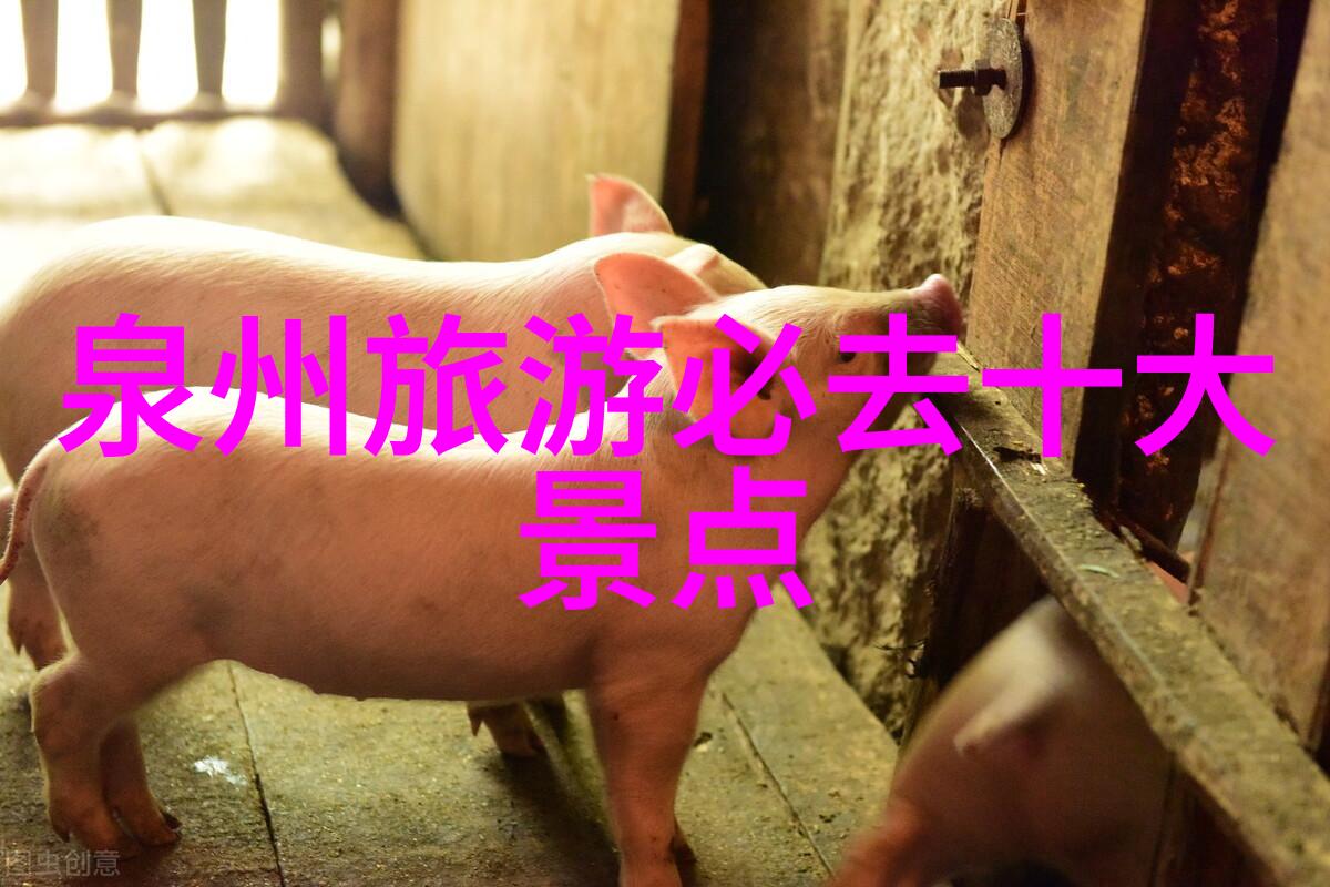 走进牛街品味北京的传统小吃文化