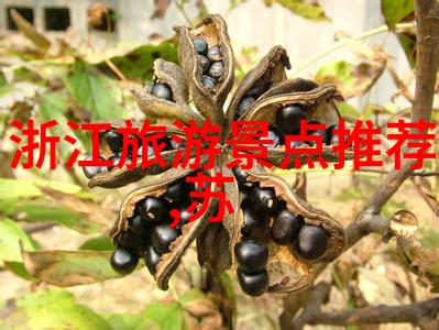 上海周边自驾游探秘揭秘一日游必去景点与美食推荐