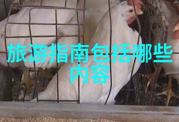 骑行驿站探索风景与文化的自行车旅程