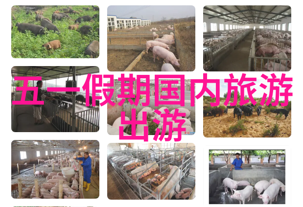 保山之美探索云南美丽边陲的秘密角落