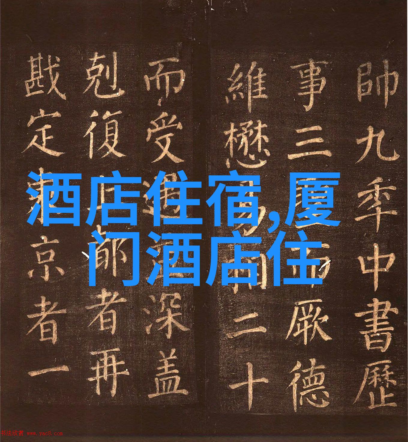 出国旅游的现状当前国际旅行政策与建议