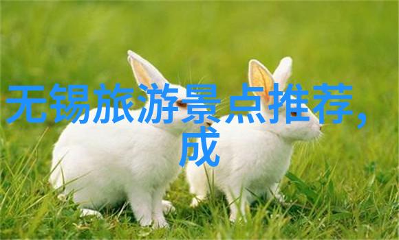 大快朵颐广州老字号必吃菜品推荐