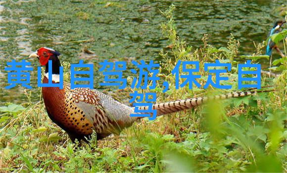 海南岛旅游景点-翡翠海岸上的梦幻之旅探索海南岛的自然奇观与文化瑰宝