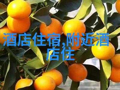 西安古城一日游必览景点详细攻略秦始皇兵马俑古城墙大雁塔