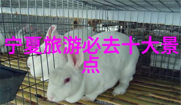 探索九寨沟奇景行程规划与费用预算