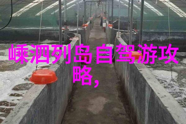 三峡人家我在三峡的家水乡故事与温馨回忆