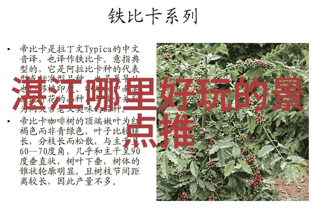 自行车骑行视频网红我是怎么成为网络红人的小故事