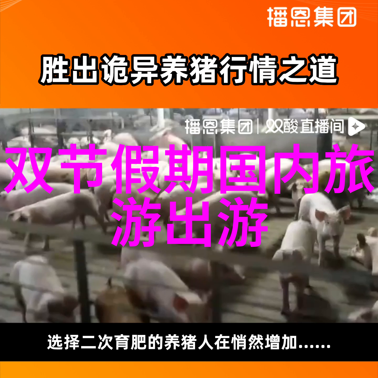 旅行社最怕的投诉深度分析退款机制与顾客权益保障