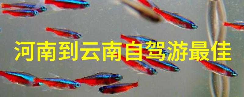 海口琉璃梦回的边城诗