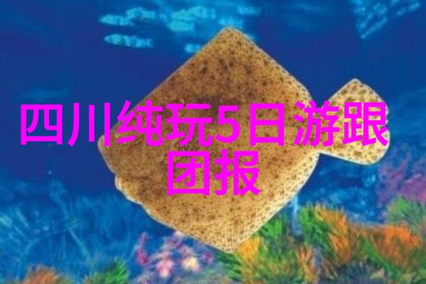 宁波美景游记探索古城风华与海滨乐趣