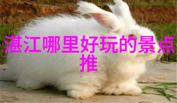 有没有一条小众海滩或者山区可供探索呢