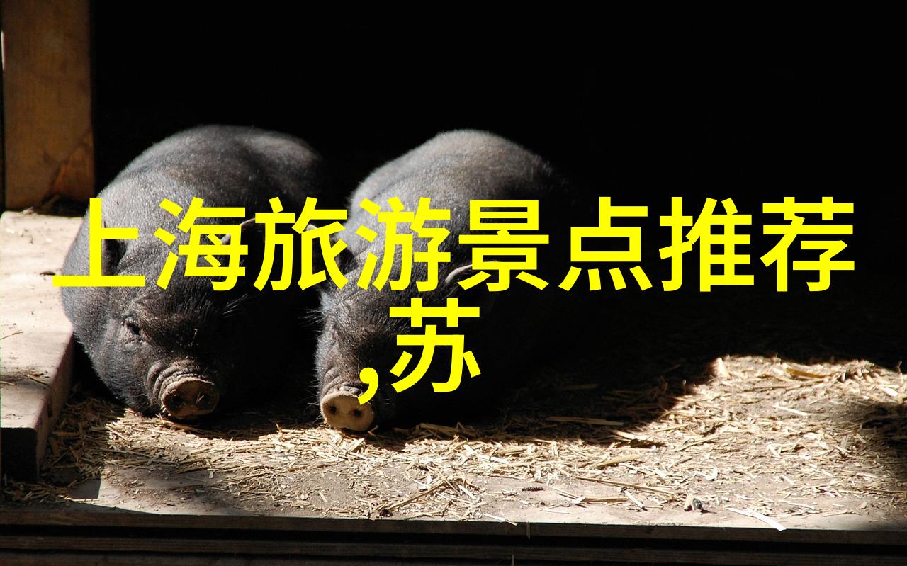 南京古迹探秘揭秘紫金塔的历史神韵