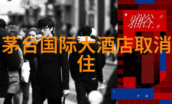 贵州十大名胜古迹我在贵州的历史之旅探访那些你必须见到的古迹
