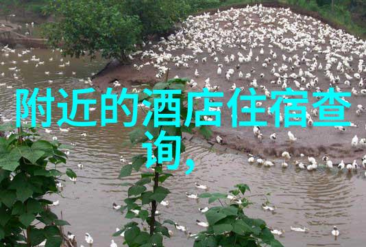 甜心王妃的秘密花园