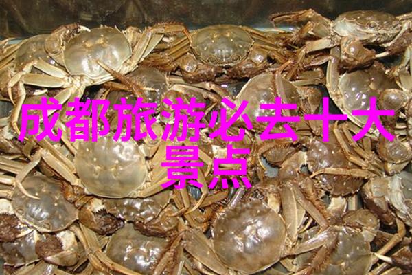 大班户外活动观察记录表-探索小朋友的自然探究力一份详细的户外活动记录