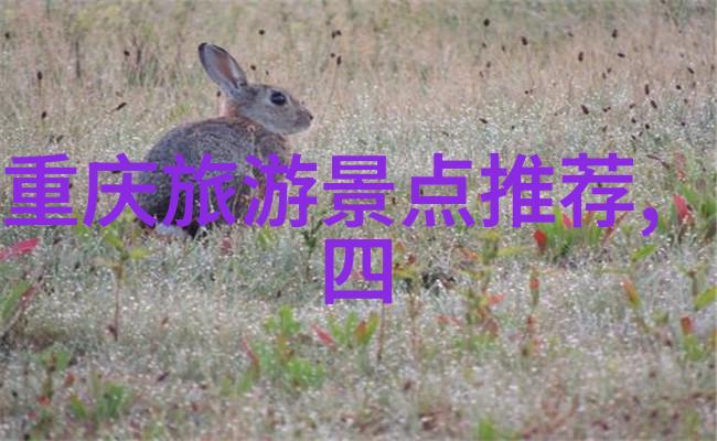 北方红土下的奇迹探秘东北的旅行宝藏