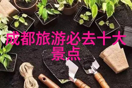 青春环游记第三季 - 梦想飞翔的旅途青春环游记第三季的无限可能