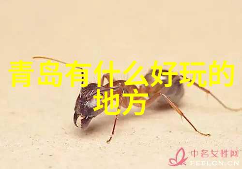 品味上海探秘名小吃排行榜及其悠久历史与位置
