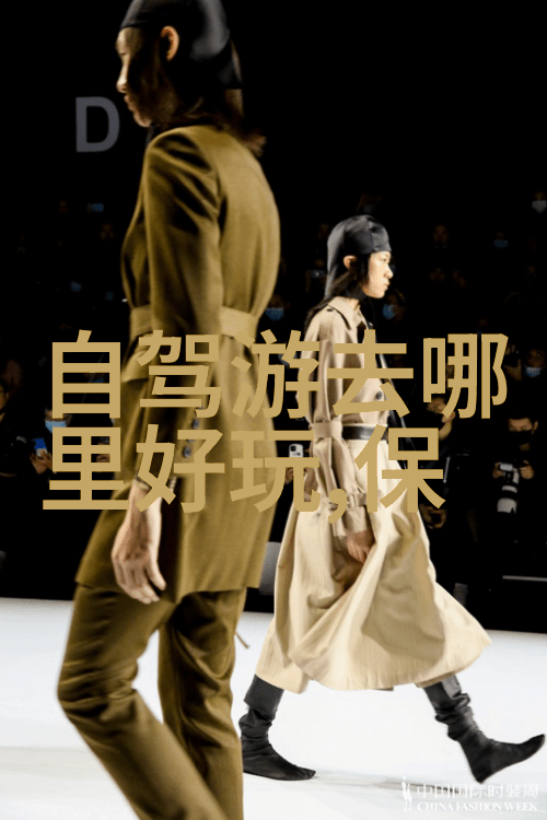 掌握自行车骑行技巧安全驾驭的要领与实战指南
