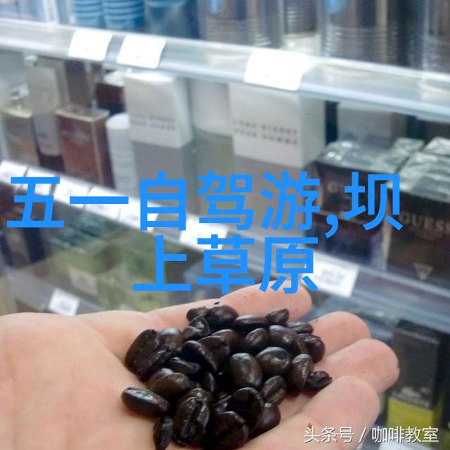 重生财阀千金古风财富继承人